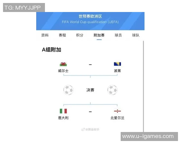 意大利国家足球队最新名单分析及球员表现评估